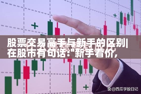 股票交易高手与新手的区别|小牛股