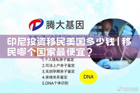 怎样在美国投资移民