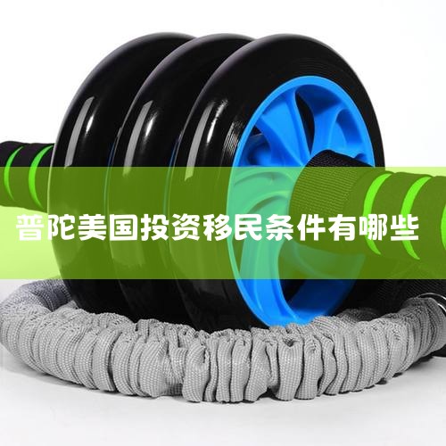 2023ͶЩ|ͶЩ-|ɰֱͨ|ͶҪ߱ʲô|Ͷʲô? - ٶ֪||