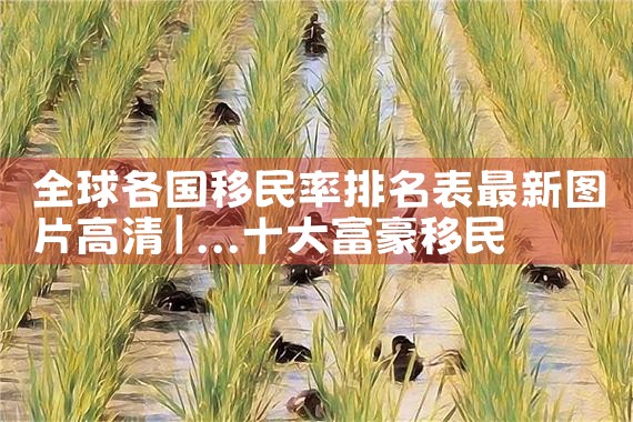 投资移民美国需要多|美国移民