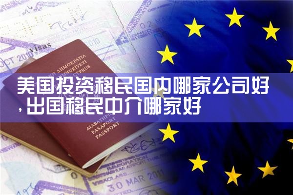 美国投资移民国内哪家公司好
