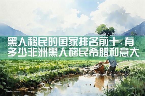 外国人在中国投资多少可以移民美国吗|美国移民