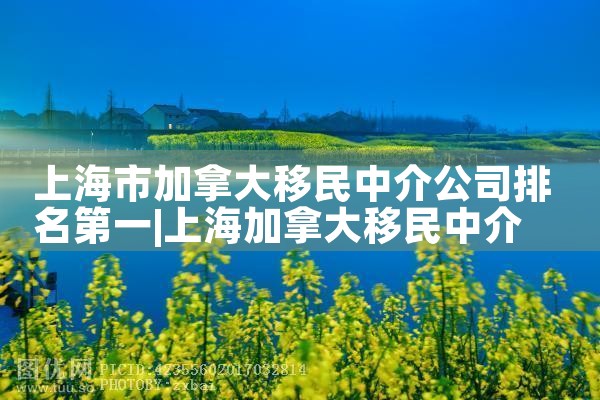 投资移民为什么选择美国|美国移民,美国留学