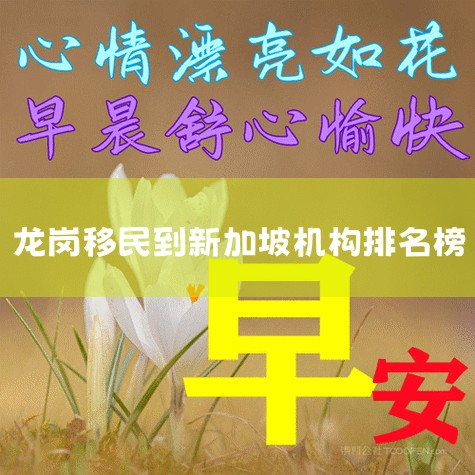 нļҺ?˾?|ЩȽϺõ˾Ƽ?|,˽˺ü˾,׸ѡļҰ?|ѡļ˾?||˾ջܡ˾ļҺã