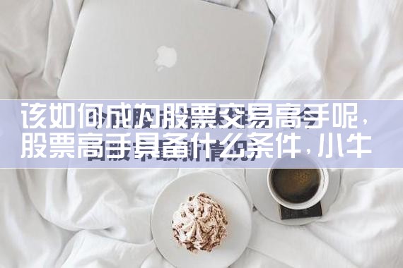 该如何成为股票交易高手呢|小牛股
