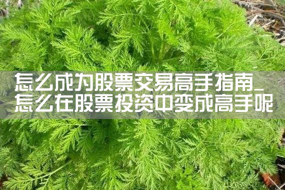 ��ô��Ϊ��Ʊ���׸���ָ��|Сţ��