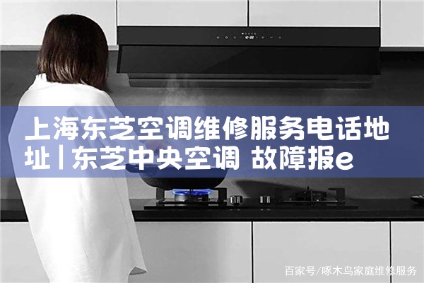 上海东芝空调维修服务电话地址|同城上门服务