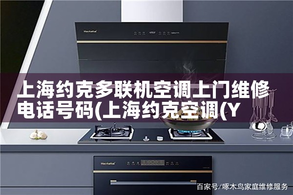 上海约克多联机空调上门维修电话号码|同城上门服务